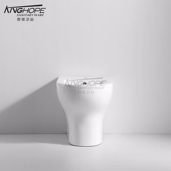 Латунное биде Good Prize с хромированием для ванной комнаты08